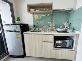 1 Bedroom Condo for rent at Phyll Phuket by Central Pattana, Wichit, Phuket Town, Phuket