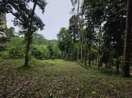  Land for sale in Ao Nang, Krabi, Ao Nang, Mueang Krabi