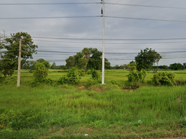  Grundstück zu verkaufen in Khong, Nakhon Ratchasima, Thephalai, Khong