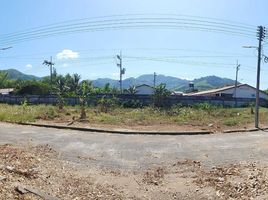  Grundstück zu verkaufen im Permsap Villa, Si Sunthon, Thalang, Phuket, Thailand