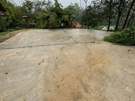  Land for sale in Mae Rim, Chiang Mai, Pong Yaeng, Mae Rim