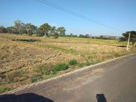  Land for sale in Buri Ram, Chorakhe Mak, Prakhon Chai, Buri Ram