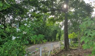 N/A Grundstück zu verkaufen in Khanong Phra, Nakhon Ratchasima 