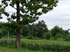  Grundstück zu verkaufen in Mueang Chiang Rai, Chiang Rai, Mae Yao, Mueang Chiang Rai, Chiang Rai