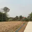  Land for sale in Mae Sai, Chiang Rai, Pong Pha, Mae Sai