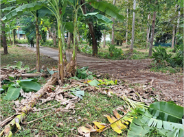  Grundstück zu verkaufen in Koh Samui, Surat Thani, Maret