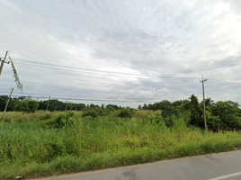  Land for sale in Mueang Phitsanulok, Phitsanulok, Bueng Phra, Mueang Phitsanulok