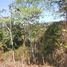  Land for sale in Guanacaste, Nicoya, Guanacaste