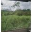  Land for sale in Mueang Phichit, Phichit, Ban Bung, Mueang Phichit