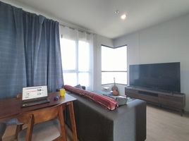 2 Schlafzimmer Wohnung zu vermieten im Common TU, Khlong Nueng, Khlong Luang, Pathum Thani