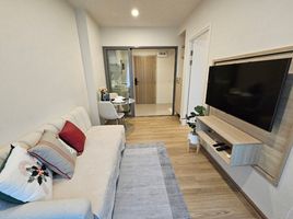 1 Schlafzimmer Appartement zu vermieten im Phyll Phuket by Central Pattana, Wichit