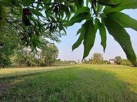  Grundstück zu verkaufen in Mueang Ubon Ratchathani, Ubon Ratchathani, Rai Noi