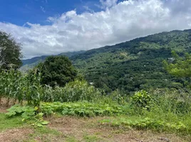  Land for sale in Costa Rica, Acosta, San Jose, Costa Rica