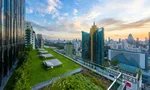 Communal Garden Area at Celes Asoke