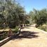 2 Schlafzimmer Villa zu verkaufen in Marrakech, Marrakech Tensift Al Haouz, Na Annakhil, Marrakech