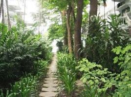 3 Schlafzimmer Wohnung zu vermieten im Prompak Gardens, Khlong Tan Nuea, Watthana