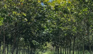 N/A Grundstück zu verkaufen in Na Khai, Ubon Ratchathani 