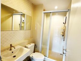 1 Bedroom Condo for rent at The Base Downtown, Wichit, Phuket Town, Phuket, Thailand