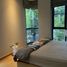 2 Bedroom Condo for rent at Tree Condo Sukhumvit 50, Phra Khanong