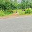  Land for sale in Dinh An, Dau Tieng, Dinh An