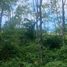  Land for sale in Laguna, Choeng Thale, Choeng Thale