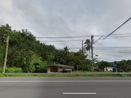  Grundstück zu verkaufen in Takua Thung, Phangnga, Lo Yung