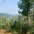  Land for sale in Chiang Mai, Huai Sai, Mae Rim, Chiang Mai