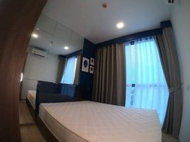 2 Schlafzimmer Appartement zu verkaufen im Taka Haus, Khlong Tan Nuea