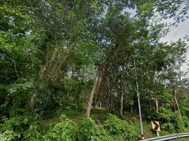  Grundstück zu verkaufen in Thalang, Phuket, Choeng Thale