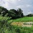  Land for sale in Sao Hai, Saraburi, Muang Ngam, Sao Hai