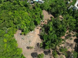  Grundstück zu verkaufen in Koh Samui, Surat Thani, Maret