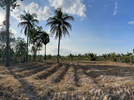 在Khao Krapuk, Tha Yang出售的 土地, Khao Krapuk