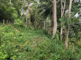  Land for sale in Taling Ngam, Koh Samui, Taling Ngam