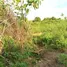 Land for sale in Ghana, Akwapim South, Eastern, Ghana