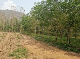  Grundstück zu verkaufen in Pak Chom, Loei, Chiang Klom, Pak Chom