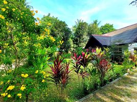 2 Schlafzimmer Haus zu verkaufen in Koh Samui, Surat Thani, Maenam