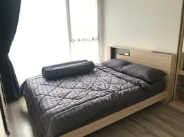 1 Schlafzimmer Appartement zu verkaufen im Ideo Mobi Asoke, Bang Kapi