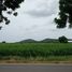  Land for sale in Lao Khwan, Kanchanaburi, Nong Pling, Lao Khwan