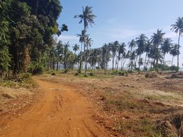  Land for sale in Ko Mak, Ko Kut, Ko Mak