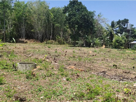  Land for sale in Ko Kaeo, Phuket Town, Ko Kaeo