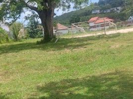  Land for sale in Phuket Town, Phuket, Rawai, Phuket Town