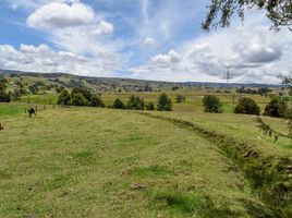  Land for sale in Colombia, Toca, Boyaca, Colombia