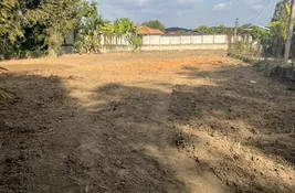  bedroom Land for sale at in Chiang Mai, Thailand