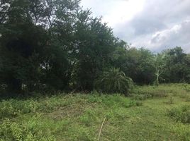  Land for sale in Bo Thong, Chon Buri, Wat Suwan, Bo Thong