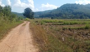 N/A Land for sale in Huai Sak, Chiang Rai 