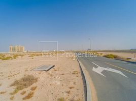  भूमि for sale at Jebel Ali Hills, 