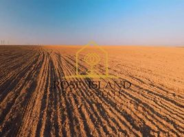  Land for sale at Shakhbout City, Baniyas East, Baniyas