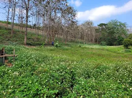  Grundstück zu verkaufen in Mae Chan, Chiang Rai, Chan Chawa