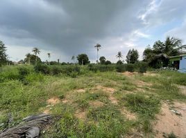  Land for sale in Big Bee Farm (Pattaya), Nong Pla Lai, Pong