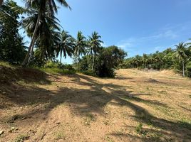  Grundstück zu verkaufen in Ko Pha-Ngan, Surat Thani, Ban Tai